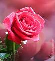 اضغط على الصورة لعرض أكبر. 

الإسم:	photo1381159848_980.jpg 
مشاهدات:	1013 
الحجم:	8.2 كيلوبايت 
الهوية:	835685