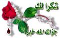 اضغط على الصورة لعرض أكبر. 

الإسم:	image.jpg 
مشاهدات:	1591 
الحجم:	25.8 كيلوبايت 
الهوية:	835757