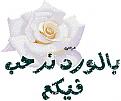 اضغط على الصورة لعرض أكبر. 

الإسم:	image.jpg 
مشاهدات:	4465 
الحجم:	24.3 كيلوبايت 
الهوية:	835797