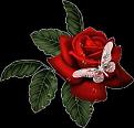 اضغط على الصورة لعرض أكبر. 

الإسم:	image.jpg 
مشاهدات:	3118 
الحجم:	34.2 كيلوبايت 
الهوية:	836087