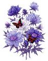 اضغط على الصورة لعرض أكبر. 

الإسم:	0_78b84_c865d93b_L_zps34a07856.jpg 
مشاهدات:	1778 
الحجم:	13.4 كيلوبايت 
الهوية:	836174