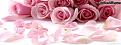 اضغط على الصورة لعرض أكبر. 

الإسم:	cover-96-pink-flowers-fb-cover-1388015469.jpg 
مشاهدات:	3470 
الحجم:	161.1 كيلوبايت 
الهوية:	838126