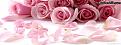 اضغط على الصورة لعرض أكبر. 

الإسم:	cover-96-pink-flowers-fb-cover-1388015469.jpg 
مشاهدات:	3361 
الحجم:	161.1 كيلوبايت 
الهوية:	838126