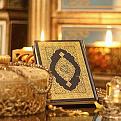 اضغط على الصورة لعرض أكبر. 

الإسم:	IMG-20121127-WA0006.jpg 
مشاهدات:	2743 
الحجم:	90.3 كيلوبايت 
الهوية:	838127