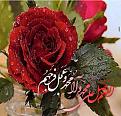 اضغط على الصورة لعرض أكبر. 

الإسم:	710519962_24215.jpg 
مشاهدات:	2193 
الحجم:	100.5 كيلوبايت 
الهوية:	838136