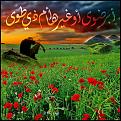 اضغط على الصورة لعرض أكبر. 

الإسم:	13715926721.jpg 
مشاهدات:	2037 
الحجم:	498.0 كيلوبايت 
الهوية:	838238