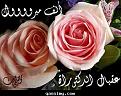 اضغط على الصورة لعرض أكبر. 

الإسم:	image.jpg 
مشاهدات:	1601 
الحجم:	54.2 كيلوبايت 
الهوية:	838309