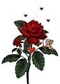 اضغط على الصورة لعرض أكبر. 

الإسم:	image.jpg 
مشاهدات:	1064 
الحجم:	32.1 كيلوبايت 
الهوية:	838339