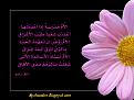 اضغط على الصورة لعرض أكبر. 

الإسم:	image.jpg 
مشاهدات:	1235 
الحجم:	116.1 كيلوبايت 
الهوية:	838350