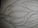 اضغط على الصورة لعرض أكبر. 

الإسم:	image.jpg 
مشاهدات:	3767 
الحجم:	8.0 كيلوبايت 
الهوية:	838411