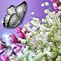 اضغط على الصورة لعرض أكبر. 

الإسم:	22_02_15142463437027516.jpg 
مشاهدات:	7315 
الحجم:	57.3 كيلوبايت 
الهوية:	838443