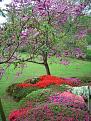 اضغط على الصورة لعرض أكبر. 

الإسم:	printemps-autres-arbres-france-2992822528-938812.jpg 
مشاهدات:	2188 
الحجم:	141.8 كيلوبايت 
الهوية:	838484