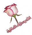 اضغط على الصورة لعرض أكبر. 

الإسم:	image.jpg 
مشاهدات:	1072 
الحجم:	15.3 كيلوبايت 
الهوية:	838486