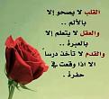 اضغط على الصورة لعرض أكبر. 

الإسم:	image.jpg 
مشاهدات:	1039 
الحجم:	84.1 كيلوبايت 
الهوية:	838749