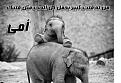 اضغط على الصورة لعرض أكبر. 

الإسم:	image.jpg 
مشاهدات:	976 
الحجم:	61.5 كيلوبايت 
الهوية:	838841
