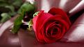 اضغط على الصورة لعرض أكبر. 

الإسم:	wallpaper-1190529.jpg 
مشاهدات:	1297 
الحجم:	244.2 كيلوبايت 
الهوية:	839200
