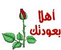 اضغط على الصورة لعرض أكبر. 

الإسم:	image.jpg 
مشاهدات:	1132 
الحجم:	9.5 كيلوبايت 
الهوية:	839284