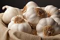 اضغط على الصورة لعرض أكبر. 

الإسم:	christopherranch_white_garlic_on_black_3_72.jpg 
مشاهدات:	1748 
الحجم:	185.9 كيلوبايت 
الهوية:	839428