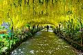 اضغط على الصورة لعرض أكبر. 

الإسم:	amazing-tree-tunnels-8.jpg 
مشاهدات:	2417 
الحجم:	191.8 كيلوبايت 
الهوية:	839496