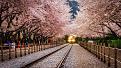 اضغط على الصورة لعرض أكبر. 

الإسم:	amazing-tree-tunnels-21 (1).jpg 
مشاهدات:	1317 
الحجم:	169.8 كيلوبايت 
الهوية:	839523