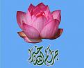 اضغط على الصورة لعرض أكبر. 

الإسم:	22222.jpg 
مشاهدات:	1970 
الحجم:	74.7 كيلوبايت 
الهوية:	839714