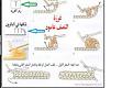 اضغط على الصورة لعرض أكبر. 

الإسم:	image.jpg 
مشاهدات:	14534 
الحجم:	124.2 كيلوبايت 
الهوية:	839769