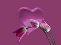 اضغط على الصورة لعرض أكبر. 

الإسم:	10933784_786959491352670_6256286451162078050_n.jpg 
مشاهدات:	4879 
الحجم:	11.9 كيلوبايت 
الهوية:	840191