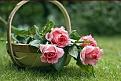 اضغط على الصورة لعرض أكبر. 

الإسم:	10734165_737260139704334_2324252218138647759_n.jpg 
مشاهدات:	1781 
الحجم:	11.3 كيلوبايت 
الهوية:	840244