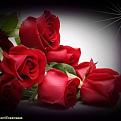 اضغط على الصورة لعرض أكبر. 

الإسم:	1898029_593765327394635_8524670048702837543_n.jpg 
مشاهدات:	1074 
الحجم:	26.8 كيلوبايت 
الهوية:	840402