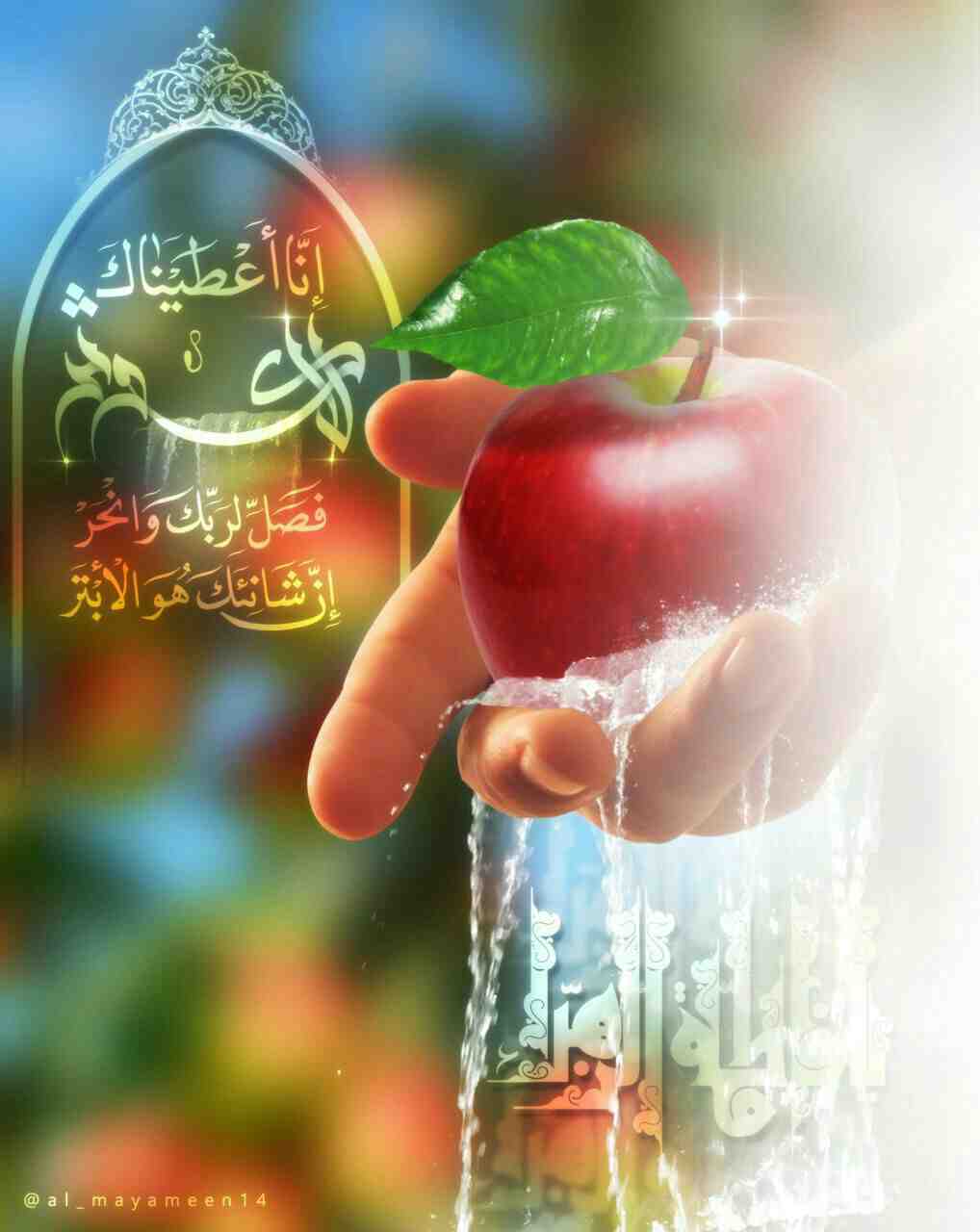 اللهم صلي على محمد وال محمد شجرة النبوة