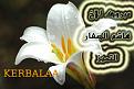 اضغط على الصورة لعرض أكبر. 

الإسم:	111.jpg 
مشاهدات:	6493 
الحجم:	153.8 كيلوبايت 
الهوية:	842988