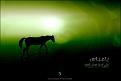 اضغط على الصورة لعرض أكبر. 

الإسم:	Abass_III_by_dndhan.jpg 
مشاهدات:	3105 
الحجم:	34.1 كيلوبايت 
الهوية:	843355