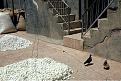 اضغط على الصورة لعرض أكبر. 

الإسم:	5.jpg 
مشاهدات:	2535 
الحجم:	89.3 كيلوبايت 
الهوية:	843695