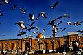 اضغط على الصورة لعرض أكبر. 

الإسم:	DSC_0045.jpg 
مشاهدات:	8104 
الحجم:	552.7 كيلوبايت 
الهوية:	843746