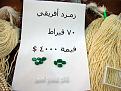 اضغط على الصورة لعرض أكبر. 

الإسم:	ATT00010.jpg 
مشاهدات:	2696 
الحجم:	71.3 كيلوبايت 
الهوية:	843819