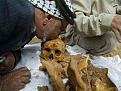 اضغط على الصورة لعرض أكبر. 

الإسم:	JWm6j-Oj04_410098050.jpg 
مشاهدات:	1932 
الحجم:	18.8 كيلوبايت 
الهوية:	843974