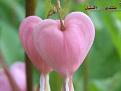 اضغط على الصورة لعرض أكبر. 

الإسم:	444.jpg 
مشاهدات:	2479 
الحجم:	22.4 كيلوبايت 
الهوية:	844294