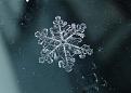 اضغط على الصورة لعرض أكبر. 

الإسم:	water_memory_031[1].jpg 
مشاهدات:	7062 
الحجم:	50.9 كيلوبايت 
الهوية:	844318