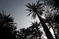 اضغط على الصورة لعرض أكبر. 

الإسم:	DSC_0813.jpg 
مشاهدات:	1906 
الحجم:	305.5 كيلوبايت 
الهوية:	844411