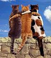 اضغط على الصورة لعرض أكبر. 

الإسم:	1428_p55698.jpg 
مشاهدات:	1174 
الحجم:	29.1 كيلوبايت 
الهوية:	844474