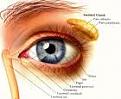 اضغط على الصورة لعرض أكبر. 

الإسم:	images[5].jpg 
مشاهدات:	926 
الحجم:	3.4 كيلوبايت 
الهوية:	844761