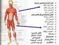 اضغط على الصورة لعرض أكبر. 

الإسم:	images[2].jpg 
مشاهدات:	1127 
الحجم:	3.7 كيلوبايت 
الهوية:	844884