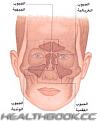 اضغط على الصورة لعرض أكبر. 

الإسم:	2.jpg 
مشاهدات:	1874 
الحجم:	9.6 كيلوبايت 
الهوية:	844890