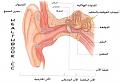 اضغط على الصورة لعرض أكبر. 

الإسم:	3.jpg 
مشاهدات:	1890 
الحجم:	15.8 كيلوبايت 
الهوية:	844891