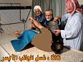 اضغط على الصورة لعرض أكبر. 

الإسم:	6.jpg 
مشاهدات:	15468 
الحجم:	154.7 كيلوبايت 
الهوية:	844967