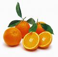 اضغط على الصورة لعرض أكبر. 

الإسم:	oranges.jpg 
مشاهدات:	27932 
الحجم:	59.6 كيلوبايت 
الهوية:	845070