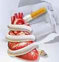 اضغط على الصورة لعرض أكبر. 

الإسم:	imageswwwwwww.jpg 
مشاهدات:	971 
الحجم:	6.6 كيلوبايت 
الهوية:	845194