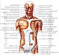 اضغط على الصورة لعرض أكبر. 

الإسم:	imagesCAFFEHLF.jpg 
مشاهدات:	1491 
الحجم:	12.0 كيلوبايت 
الهوية:	845195