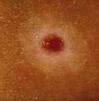 اضغط على الصورة لعرض أكبر. 

الإسم:	imagesCAQNOKQP.jpg 
مشاهدات:	1246 
الحجم:	1.7 كيلوبايت 
الهوية:	845279