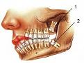اضغط على الصورة لعرض أكبر. 

الإسم:	images.jpg 
مشاهدات:	1339 
الحجم:	7.5 كيلوبايت 
الهوية:	847073